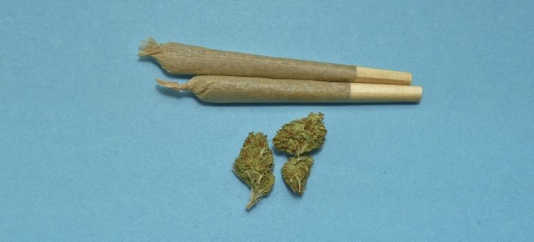 marijuana buds and two rolled joints